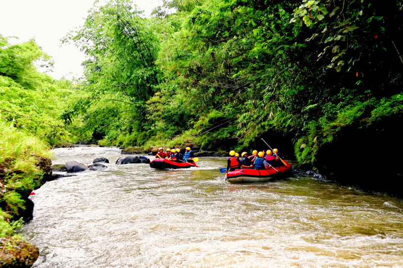 Rafting cisadane id